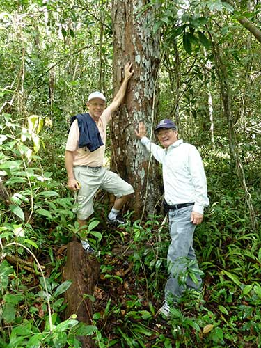 Pernambuco Conservation